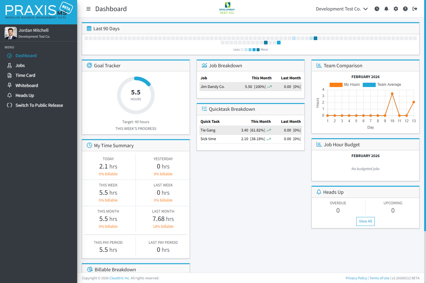 PraxisMS Time Tracking Dashboard